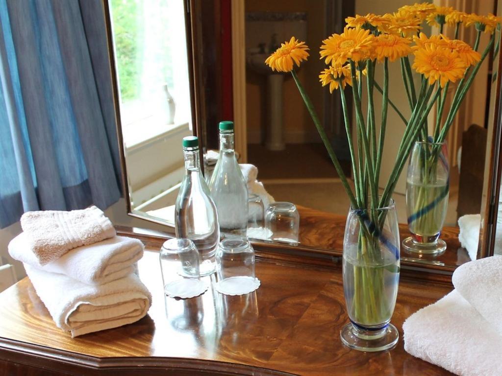 Blossom Hill Bed And Breakfast Killaloe Kültér fotó